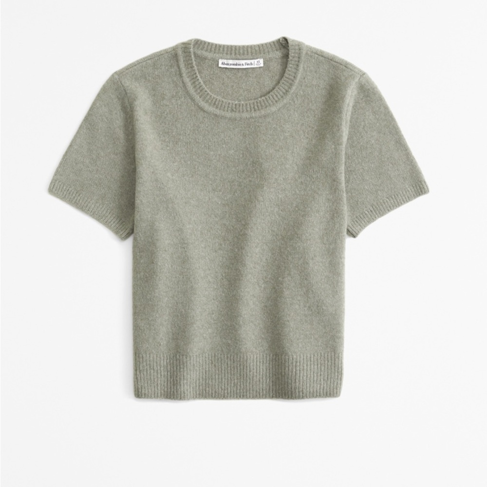 NWT A&F Crew Sweater Tee